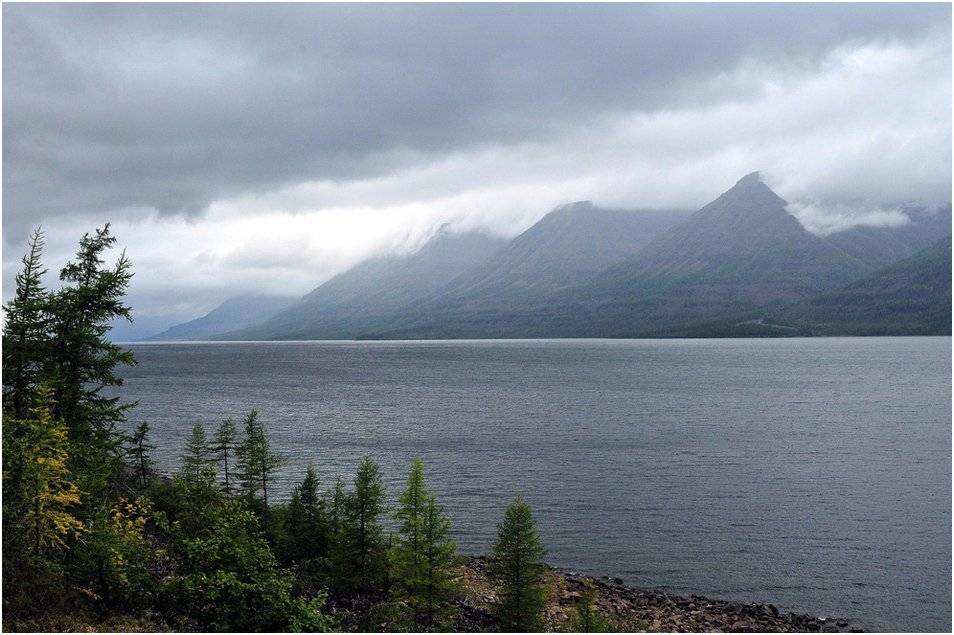 таймыр, Vladimir