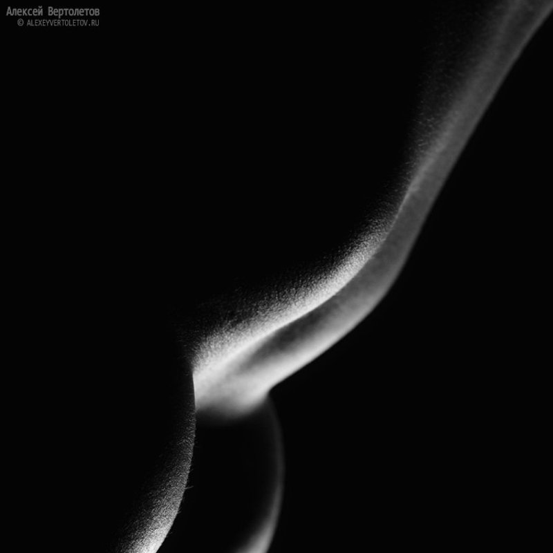 Части целого... фото превью