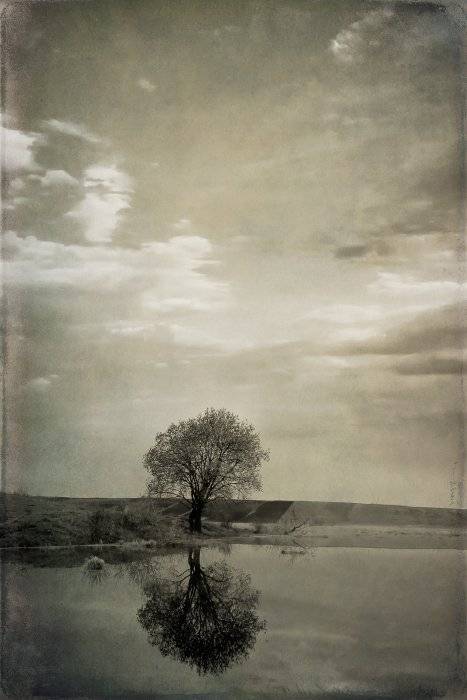 , Полищук И.В.