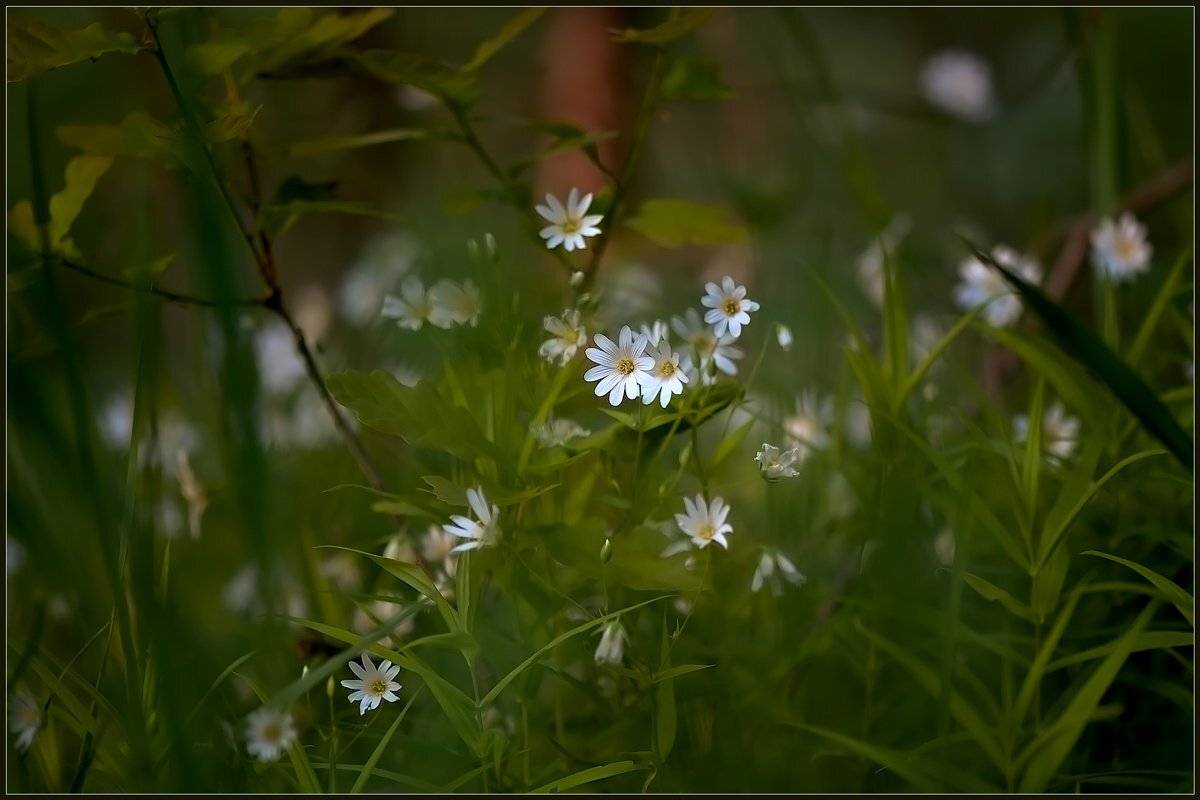 , Евгений Кирилкин.