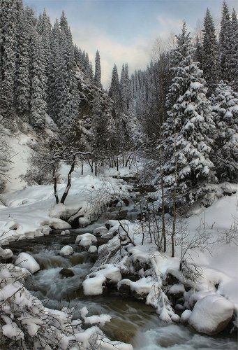 горная речка
