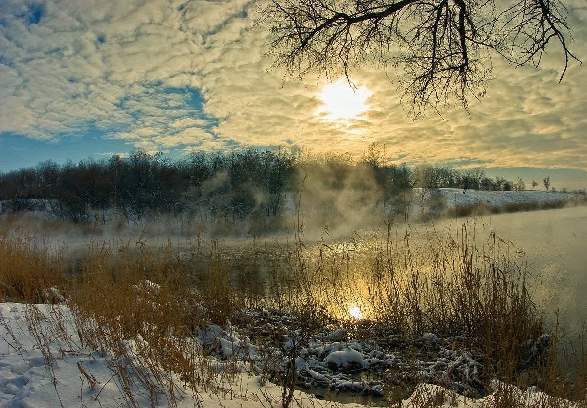 , Игорь Мелекесцев