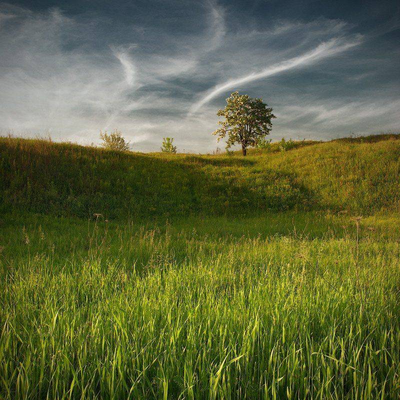 , Виталий Башкатов