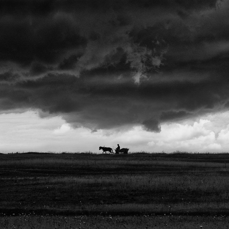 V фото превью