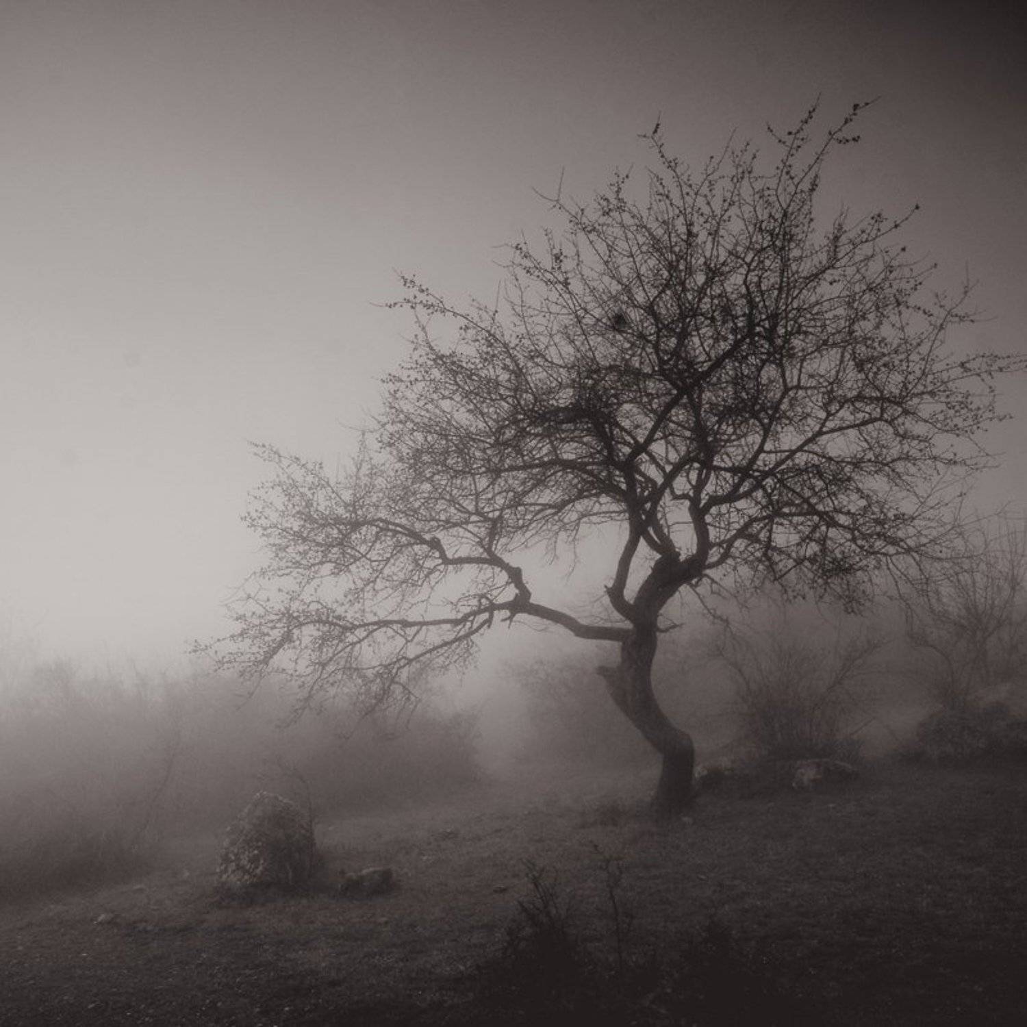 , Павел Хлыпенко