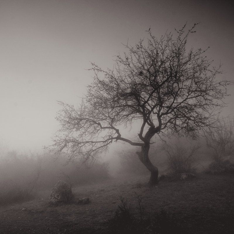 Колыбельная для Солнца фото превью