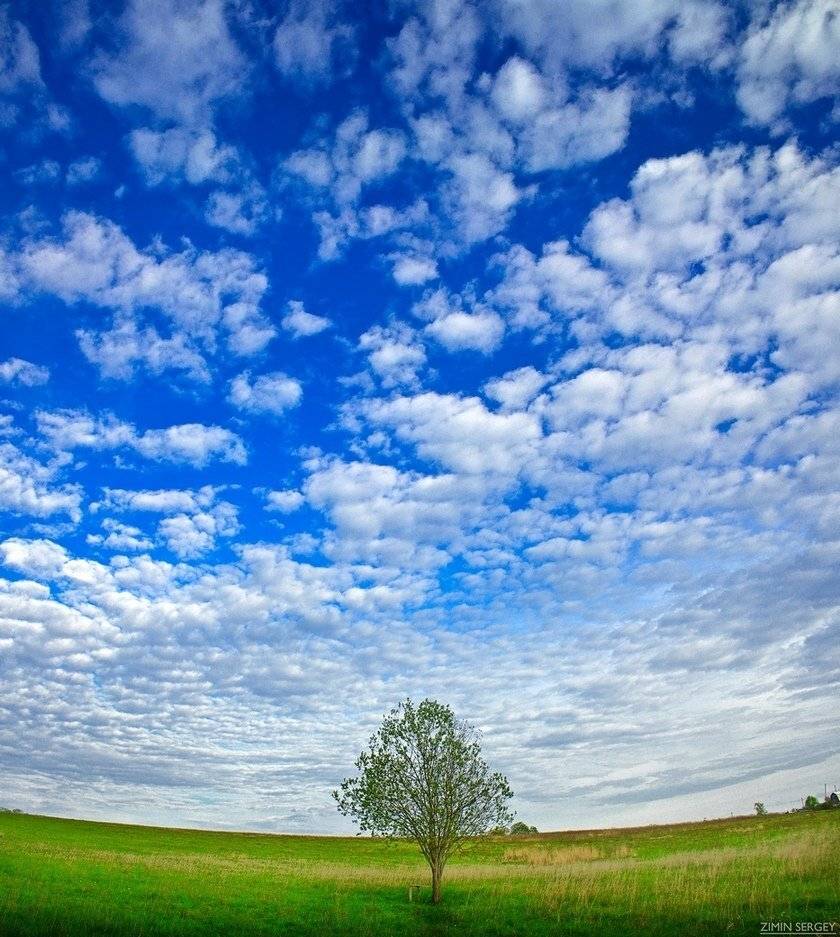 , Сергей Зимин