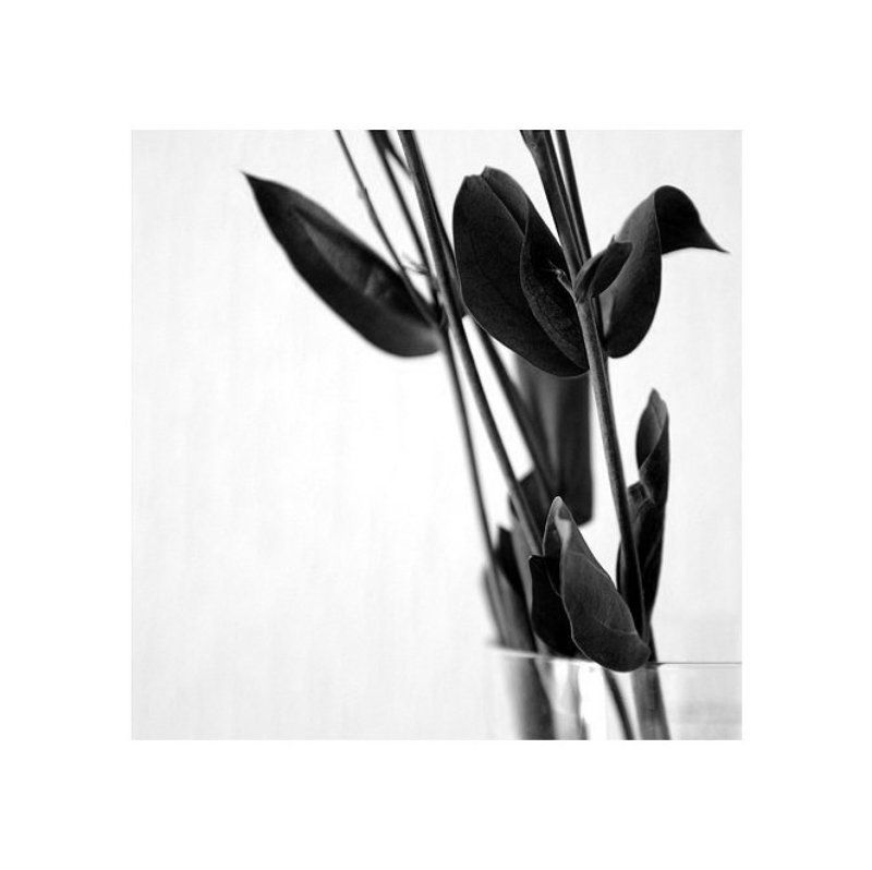 Простые вещи фото превью