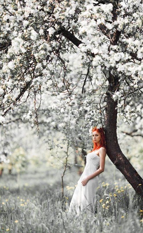 Яблоневый свет... фото превью