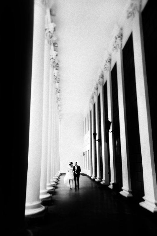 w e d d i n g фото превью