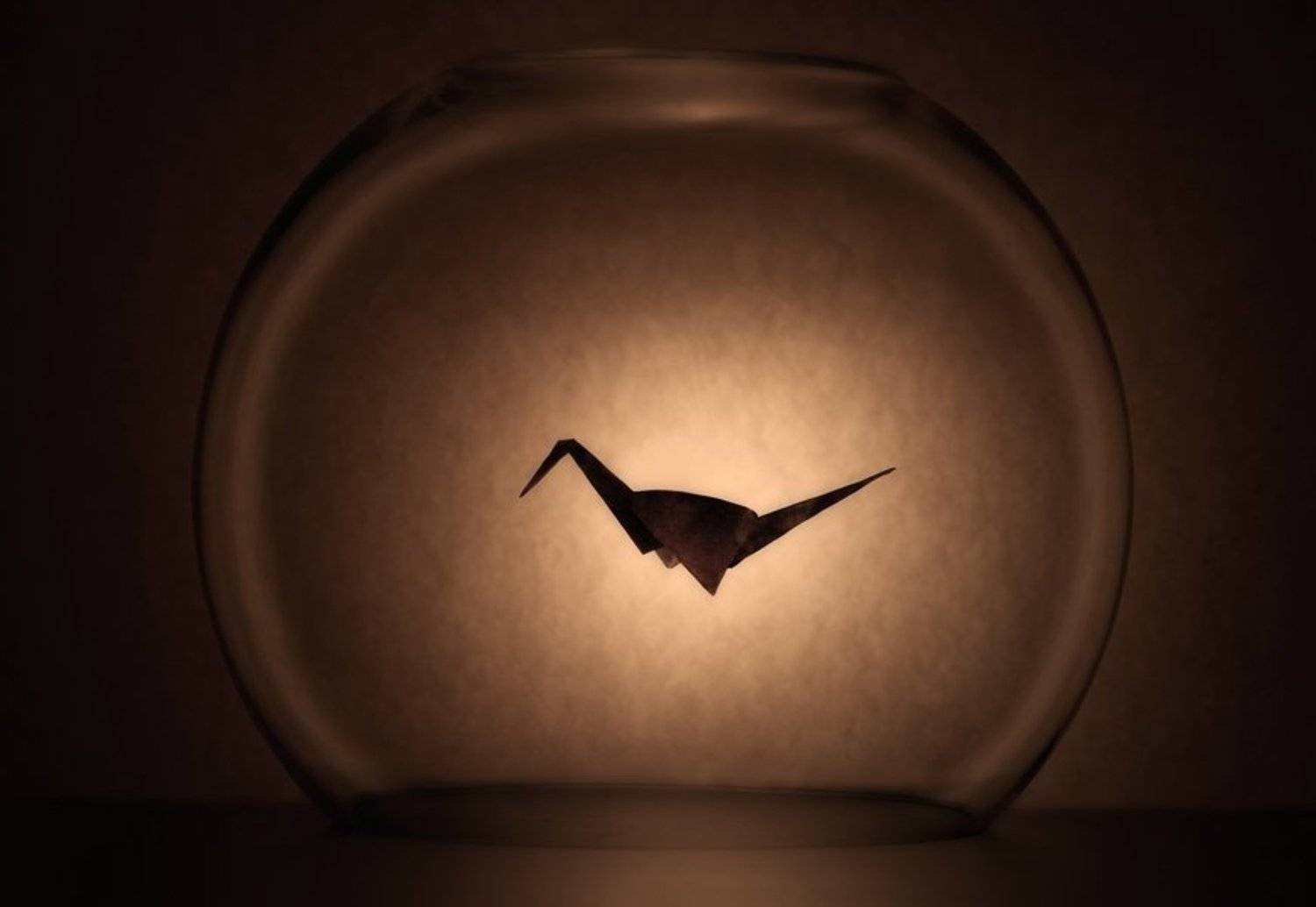 оригами, клетка, стекло, Александр Некрашевич