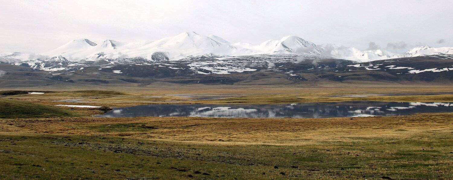 укок, алтай, Артем Головин