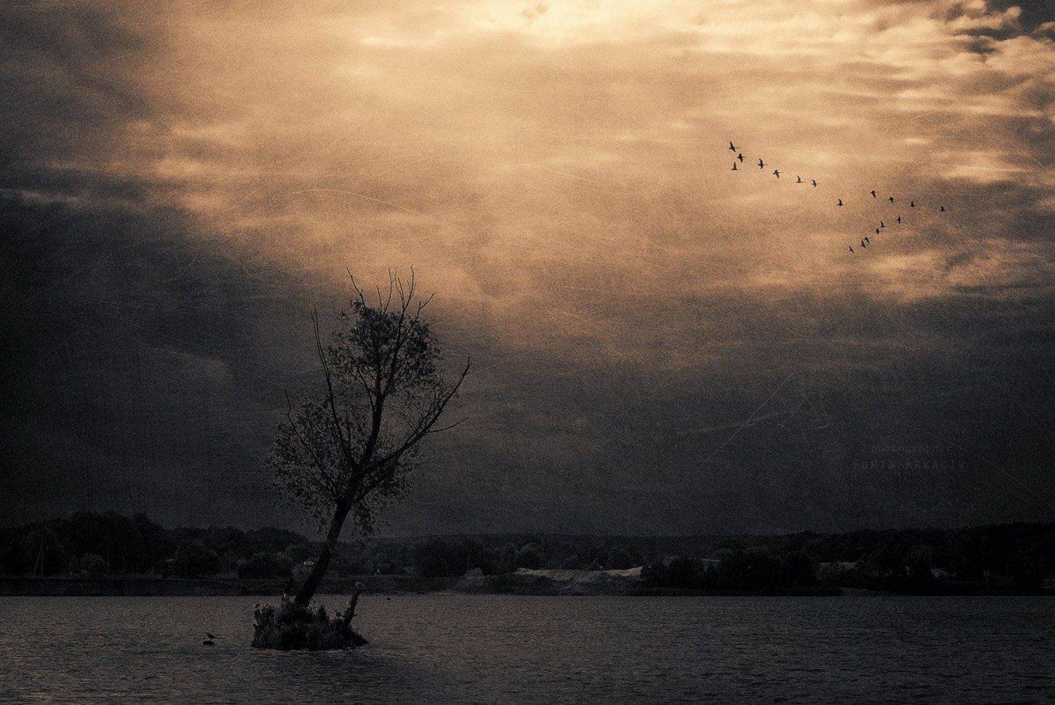 пейзаж,жанр,arkadiy kurta, Аркадий Курта