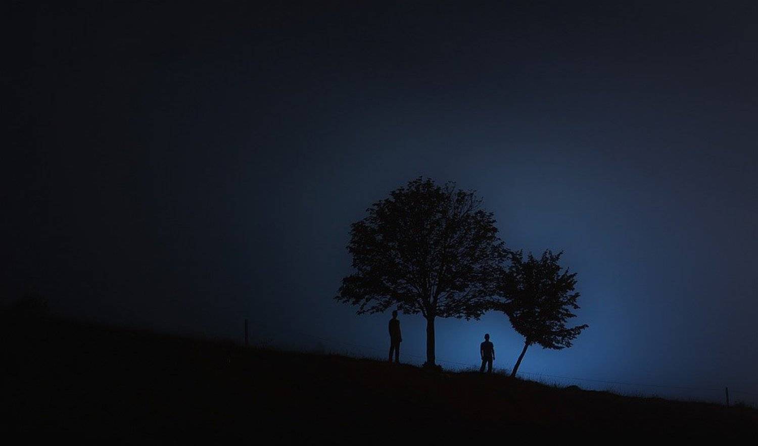 дерево,силует, Євген Кукулка