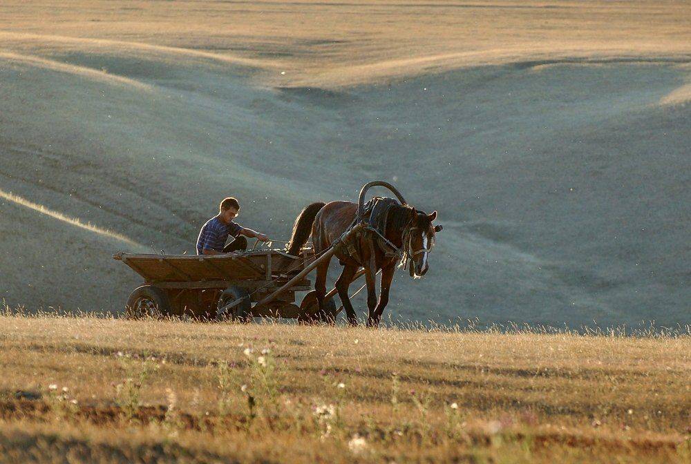 , Марина Фомина