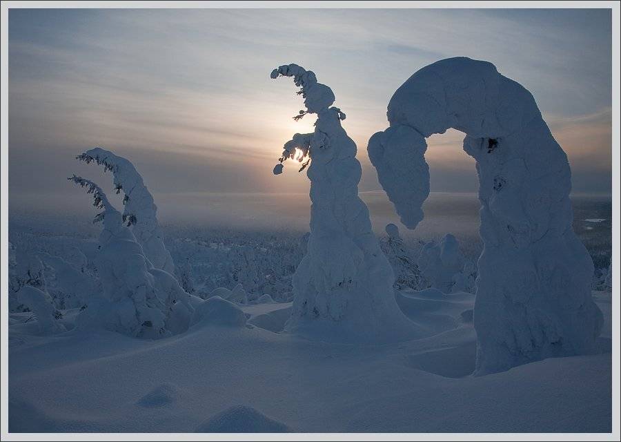 , Сергей Захаров.