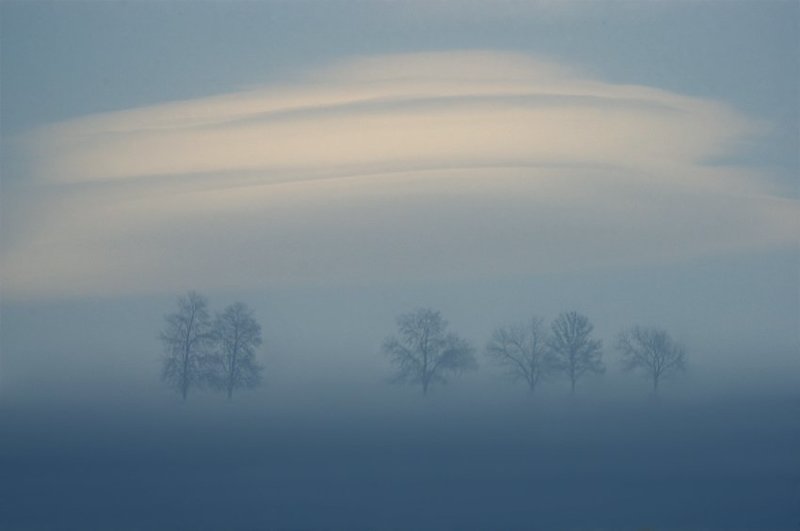 Dreaming in Blue фото превью