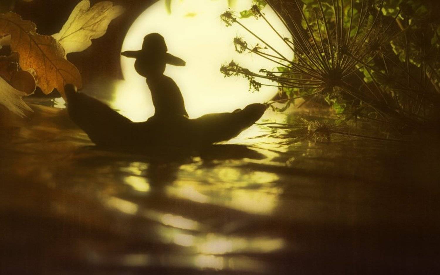 , Семёнова Юлия