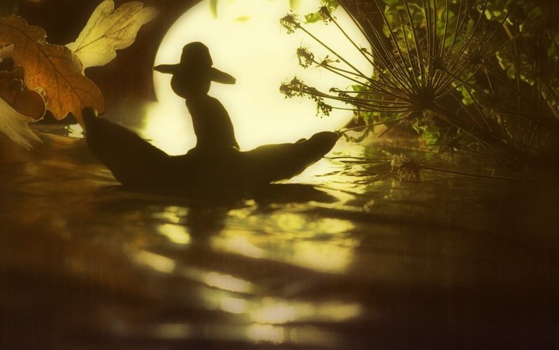 К далёким берегам... фото превью