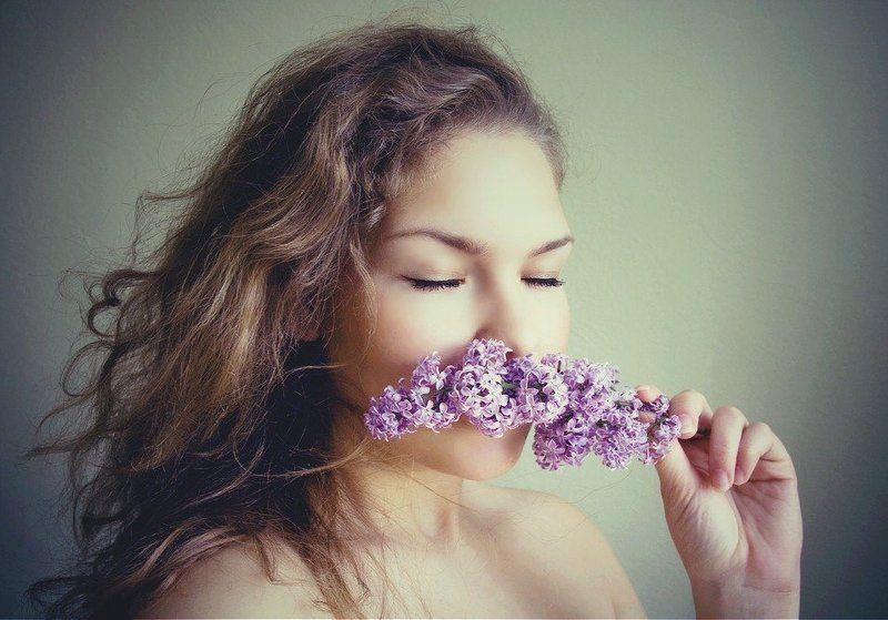 прикосновение  сирени фото превью