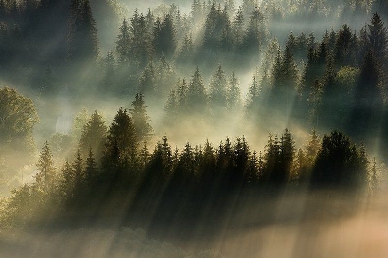 Boguslaw Strempel