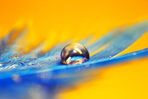 Макро, из старого