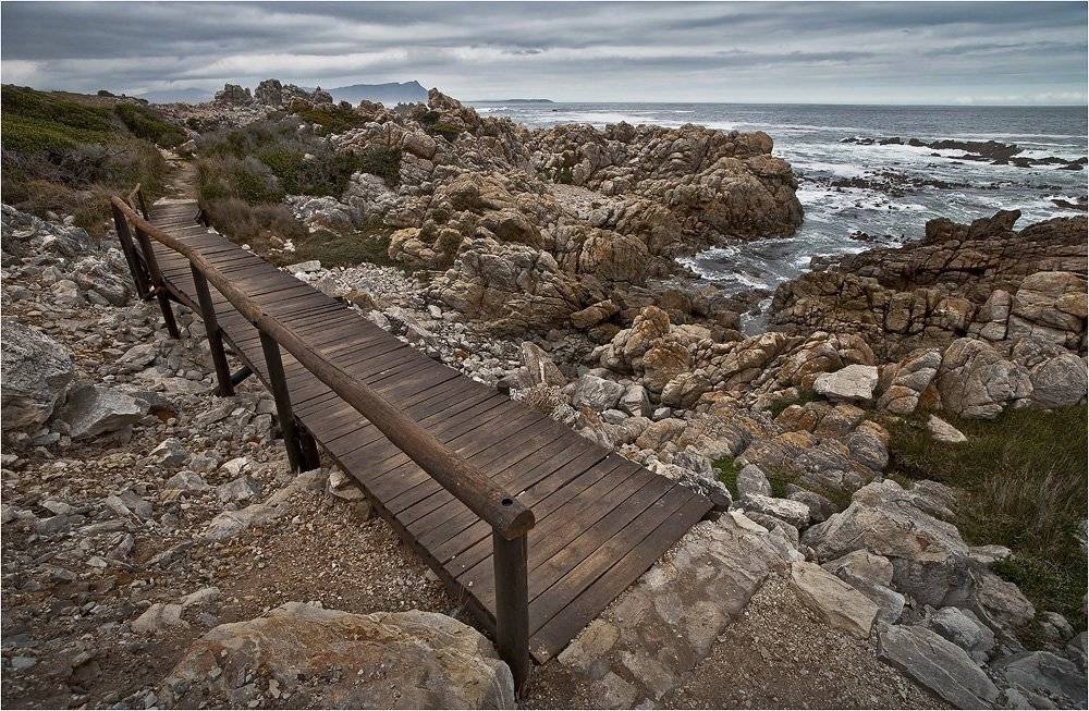 , Сергей Гаспарян