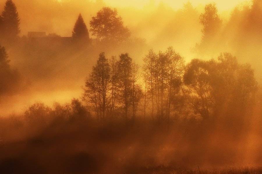 , Rimantas Bikulcius