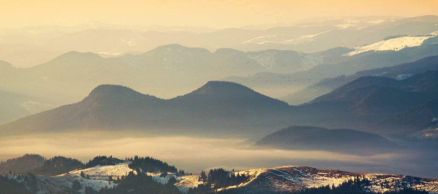 , Денис Кривой