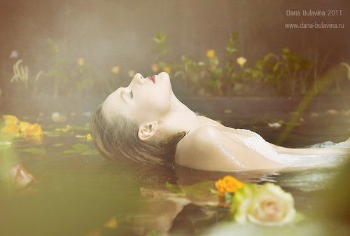 Where the wild roses grow...