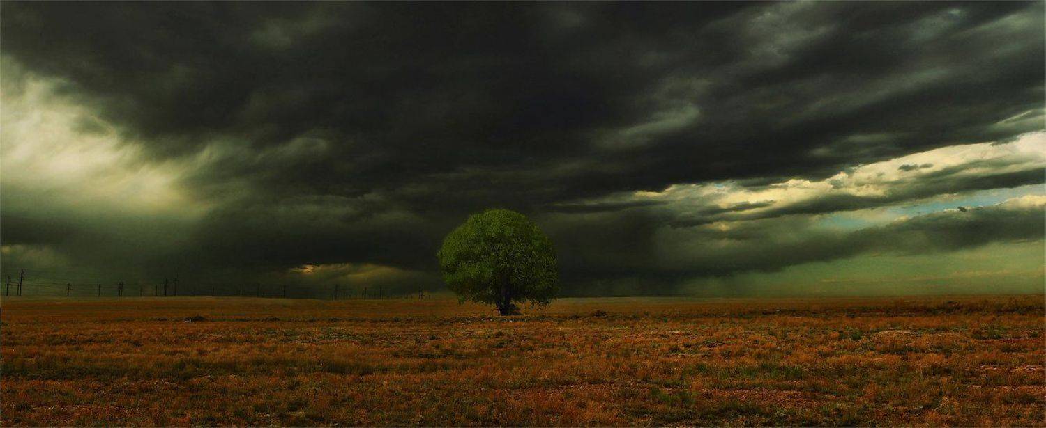 дерево,тучи, SkorovS