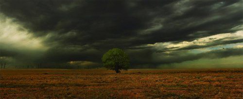 в одиночестве