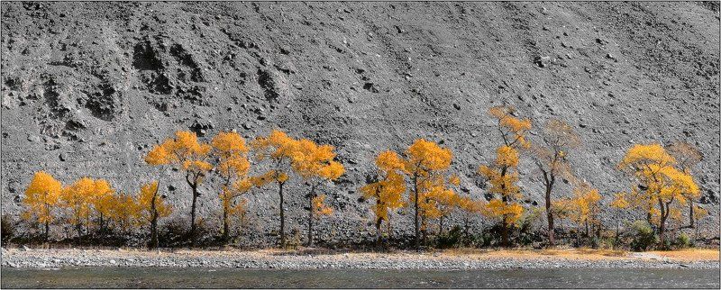 монголия, ховд black&gold фото превью