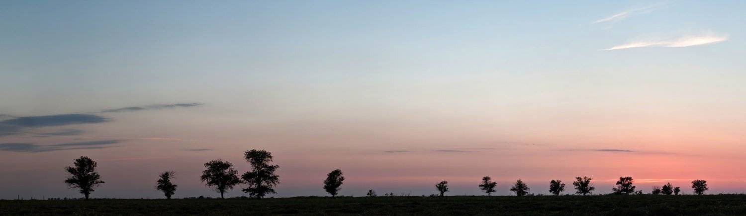 , Станислав Савицкий