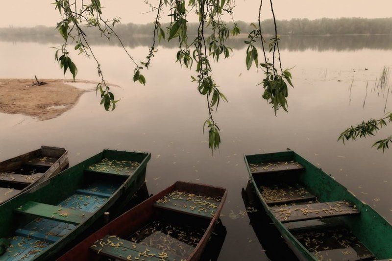 лодки *** фото превью