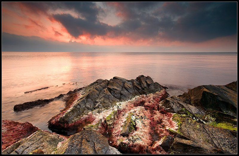 Melancholic sea фото превью