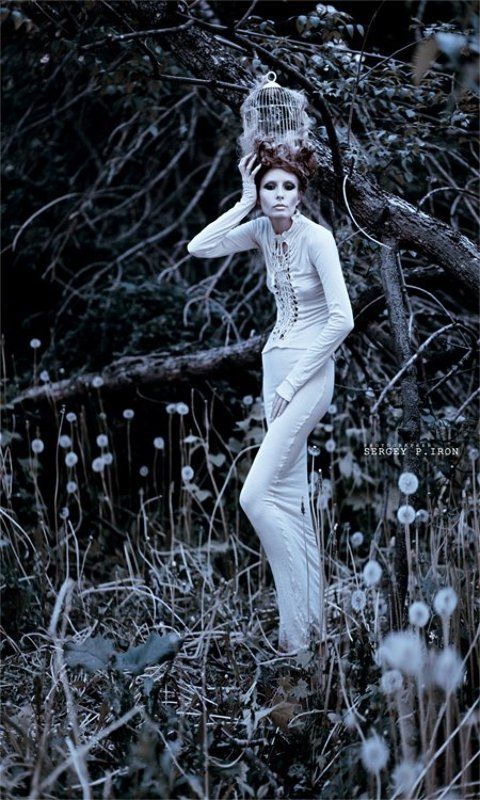 ................. фото превью