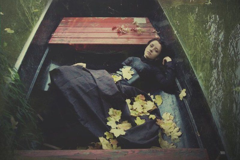 black tulip фото превью