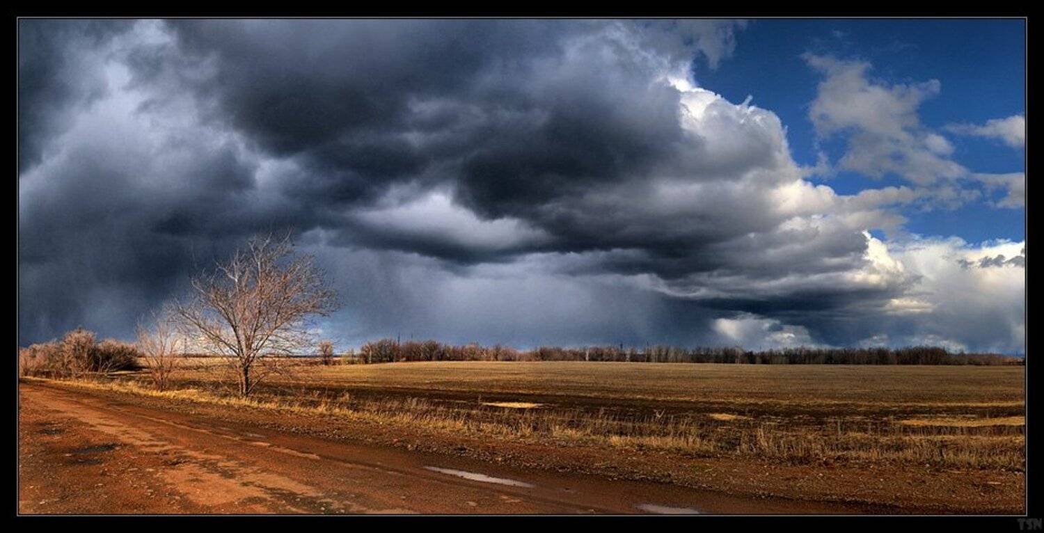 , Сергей Требунских