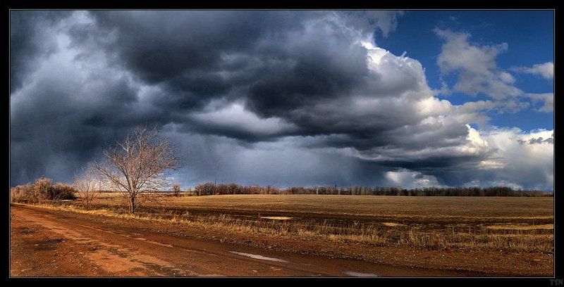 *** фото превью