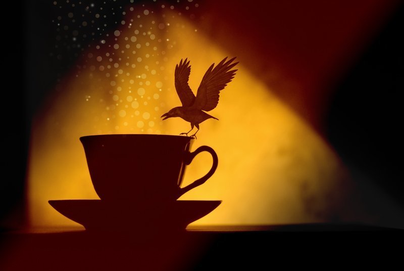 Рoison фото превью