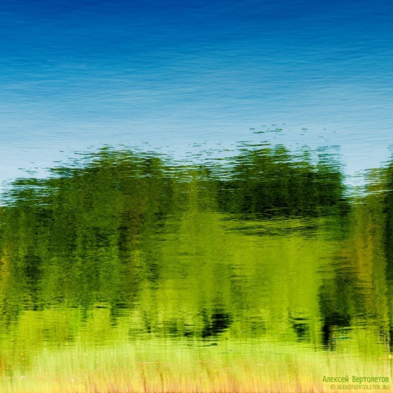 небо, лес, камыш, алексей вертолетов Б/н фото превью