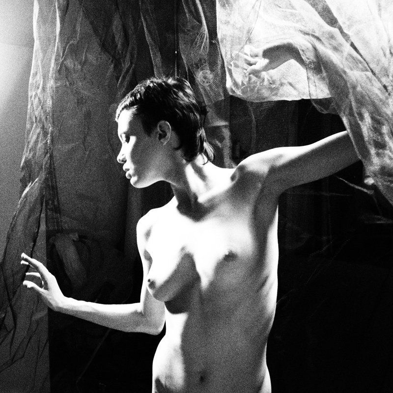 4292679 фото превью