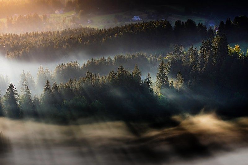 Boguslaw Strempel