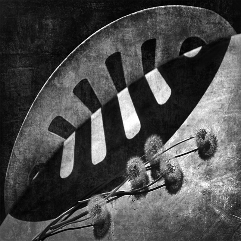 Reincarnations of Shadows фото превью