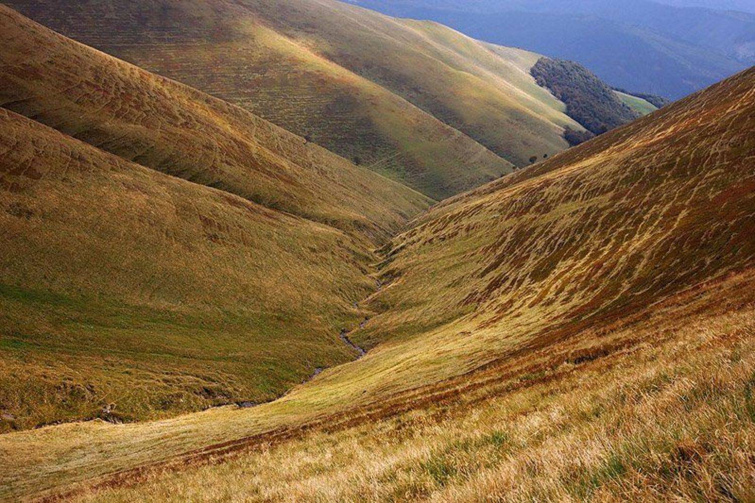 карпаты, Тарас