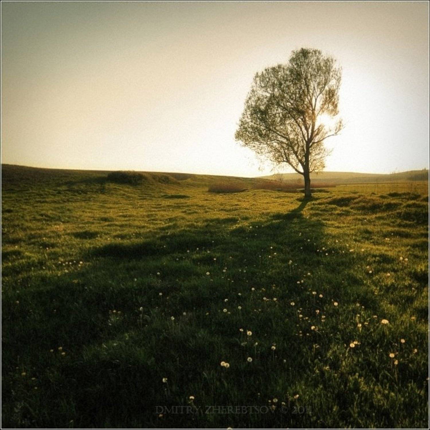 ***, Dmitry Zherebtsov