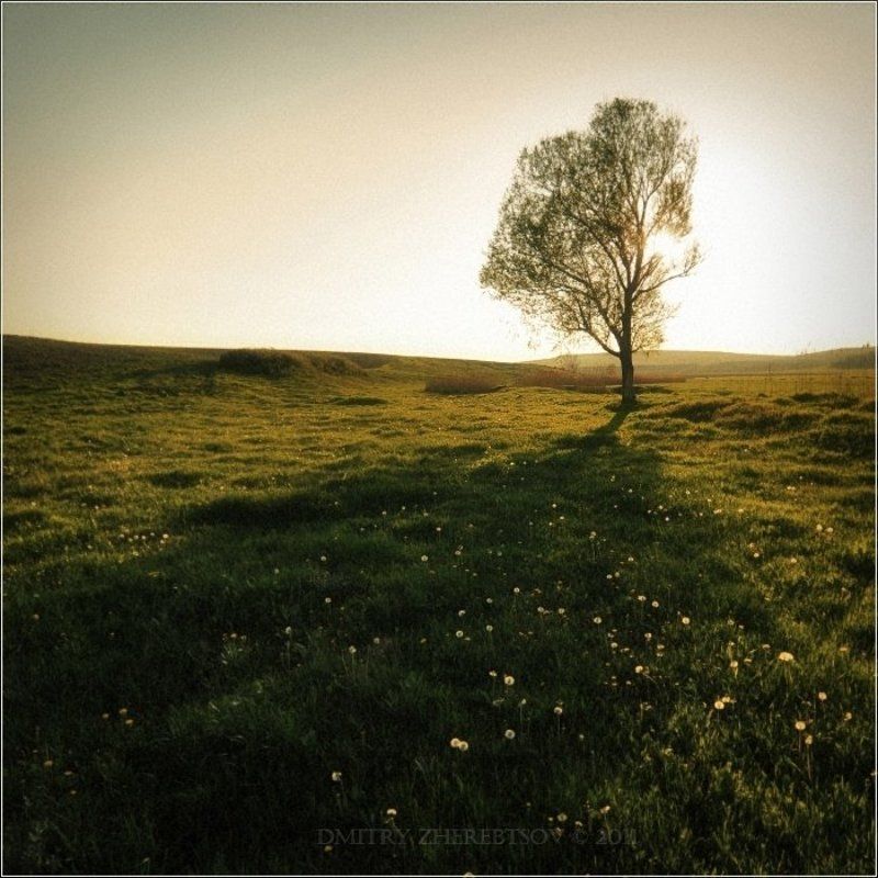 ***  фото превью