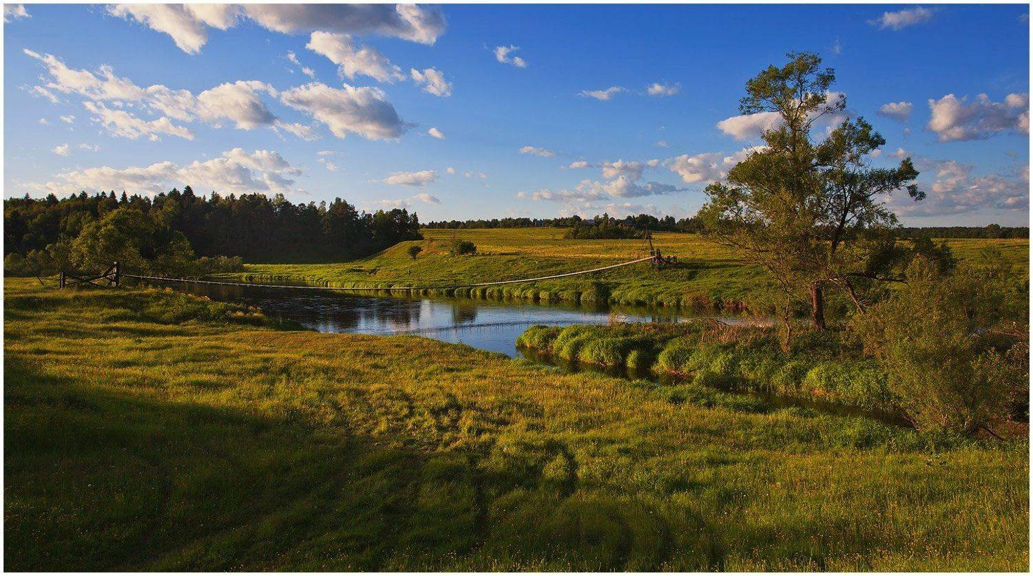 пейзаж, поле, река, мост, лес, лето, Oleg Dmitriev