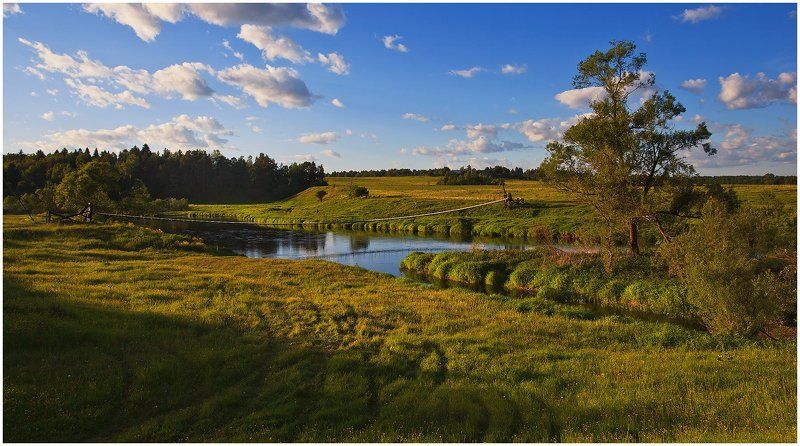 пейзаж, поле, река, мост, лес, лето однажды летним вечером... фото превью